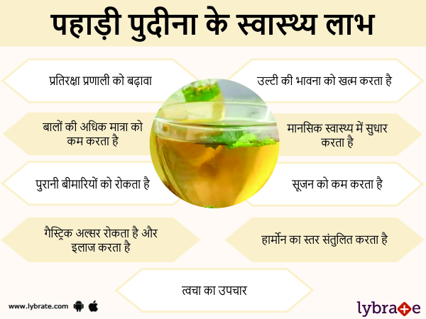 पहाड़ी पुदीना की चाय के स्वास्थ लाभ  - Spearmint Chai Peene ke Fayde