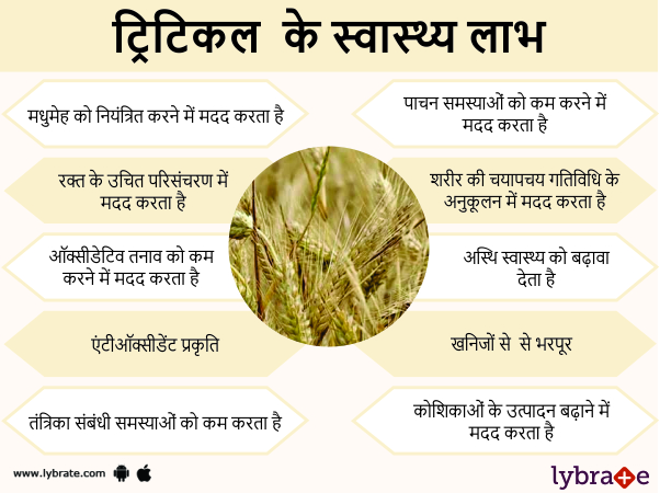 ट्रिटिकल के स्वास्थ लाभ 