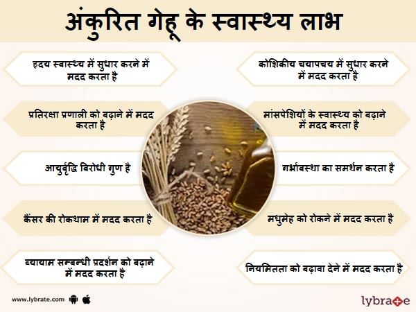 benefits-of-wheat-germ-in