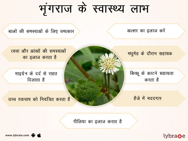 भृंगराज के फायदे - Bhringraj ke Fayde