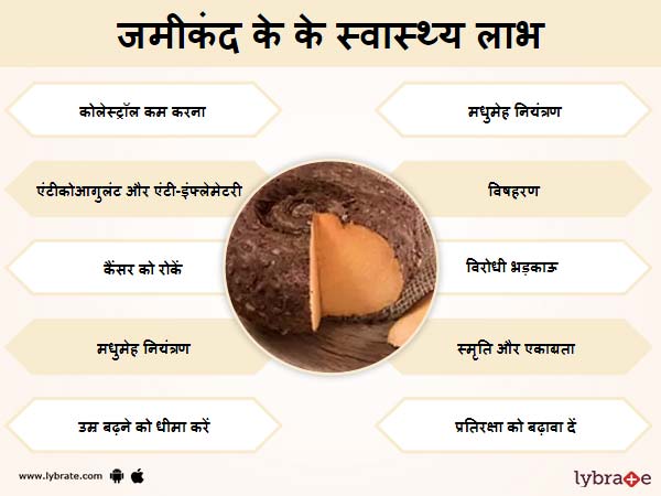 एलिफेंट फुट यम (जिमीकंद) के फायदे और इसके दुष्प्रभाव Elephant Foot