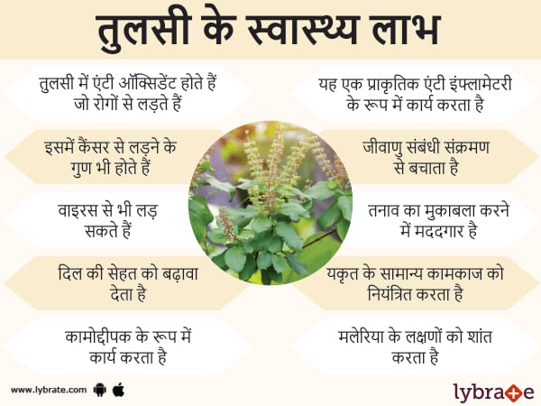 Basil Benefits in Hindi