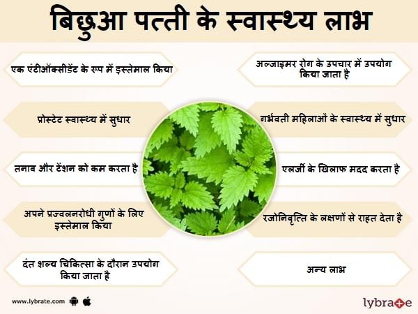 Nettle Rash Meaning In Hindi