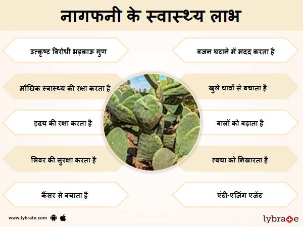नागफनी के स्वास्थ लाभ
