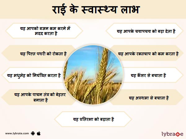 राई के फायदे - Rye ke Fayde