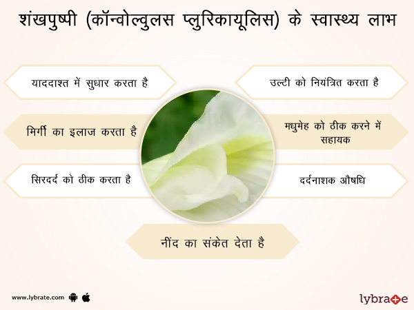 शंखपुष्पी के फायदे - Shankhpushpi ke Fayde
