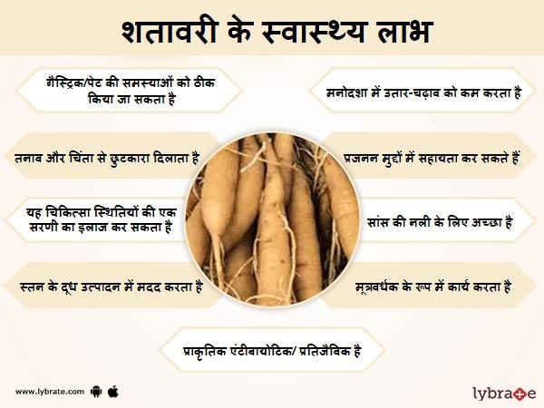 शतावरी के फायदे और इसके दुष्प्रभाव - Shatavari Benefits in Hindi