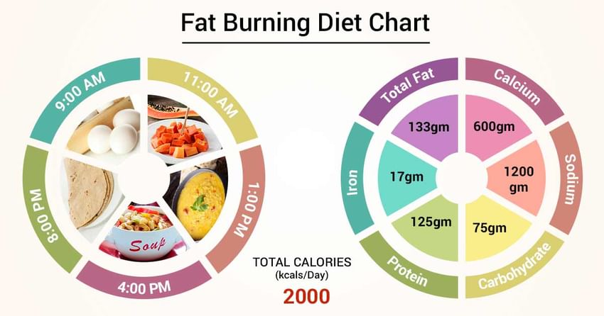 Fat Burn Diet Chart