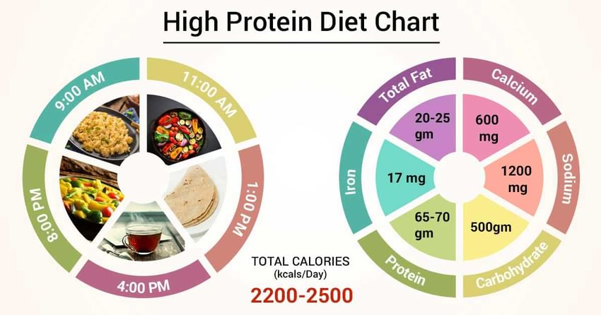 people on high protein diets