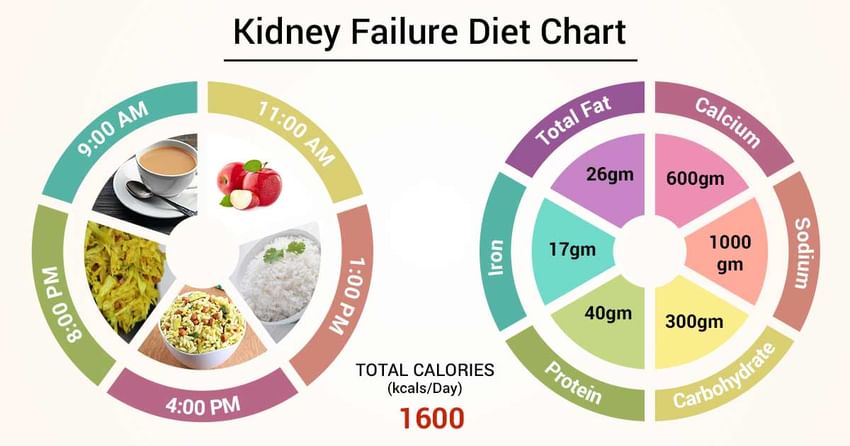 Diet Chart For Kidney Failure Patients
