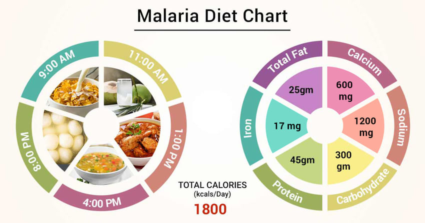 what to eat when you have malaria