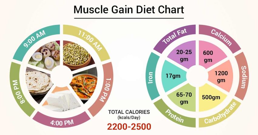Diet Chart For Muscle Building
