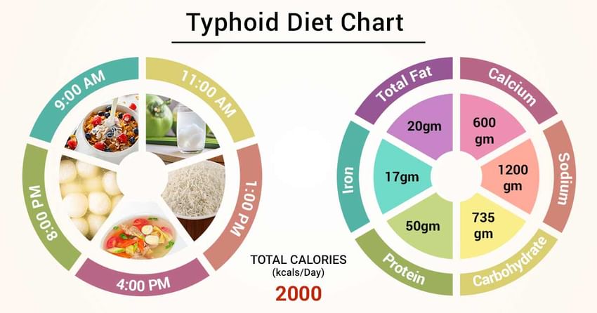 Typhoid Diet Chart In Hindi