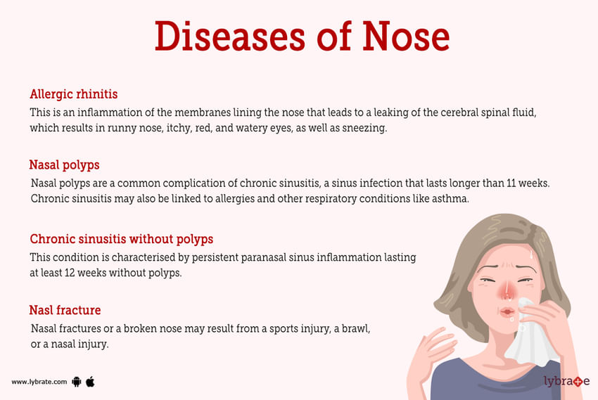 Nose (Human Anatomy): Picture, Functions, Diseases, and Treatments