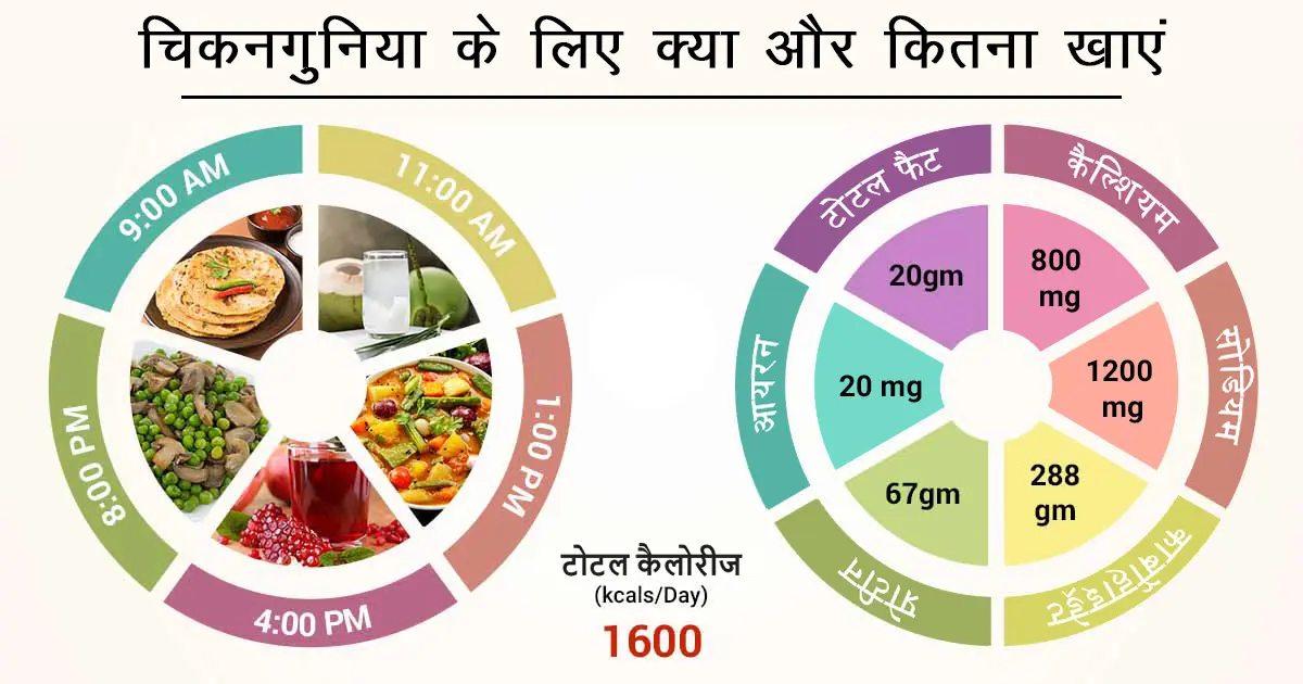 क्या होता है चिकनगुनिया? | What is chikungunya? 