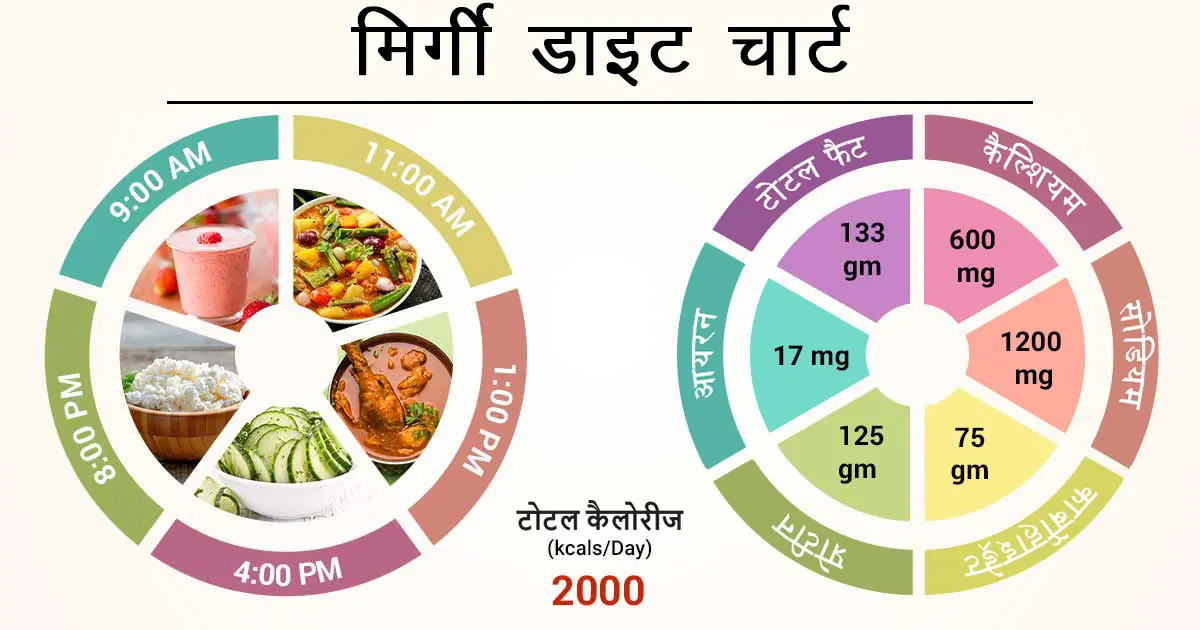 क्या होती है मिर्गी डाइट? | What is epilepsy? 