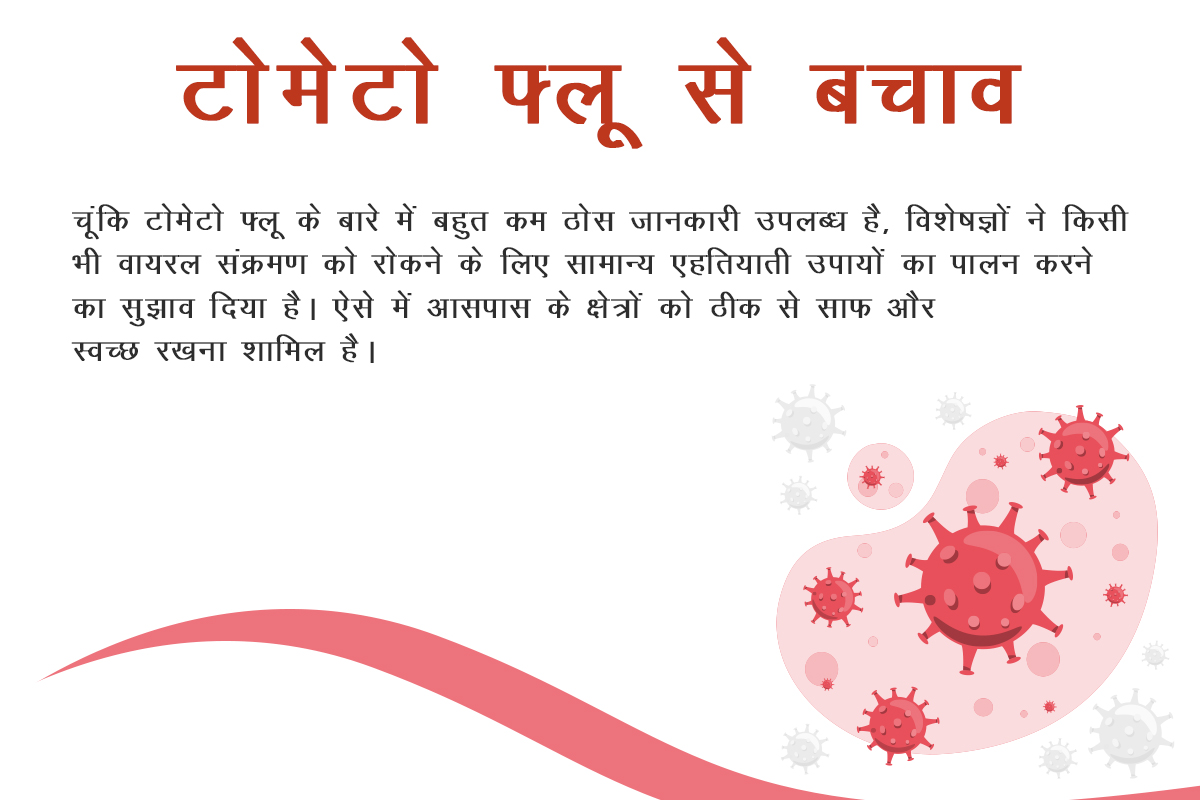 टोमेटो फ्लू से बचाव