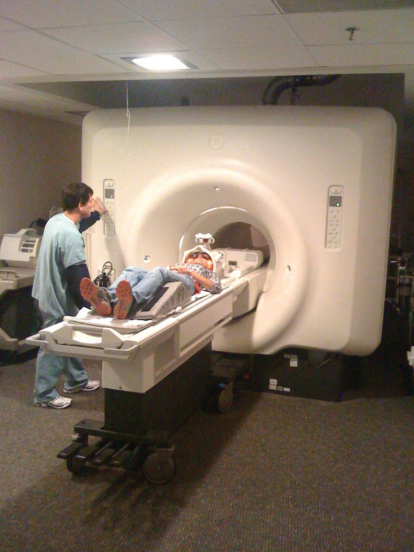 Human body engineers Image 3