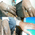 Naina Homoeo Care Image 2