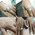 Naina Homoeo Care Image 8