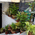Physiohelp Physiotherapy Ortho Neuro Rehabilitation Clinic Image 10