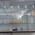 Homoeoforce Homoeopathic Clinic Image 2