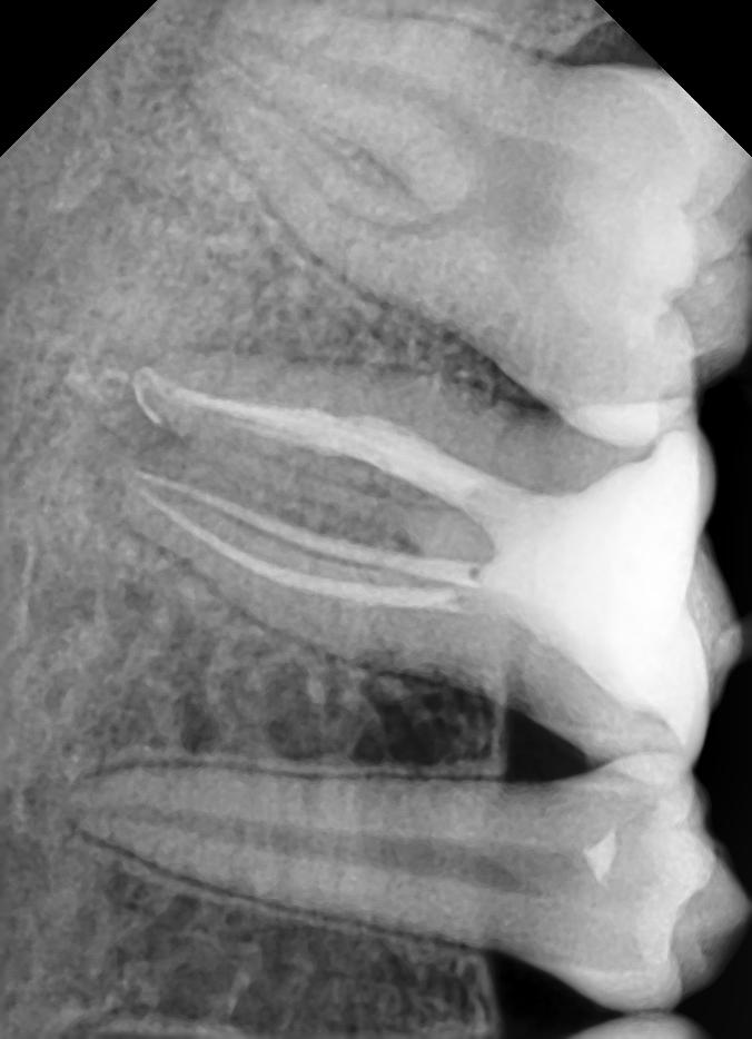 S.K Dental Care Image 5