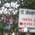 Dr. Avinash B Dalal Clinic Image 2