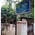 Sai Kriya Skin Clinic Image 1
