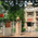 Ramakrishna Mission Hospital Image 2