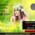 NutriDiet E - Clinic Image 1