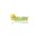 BMW Homeopathy clinic BodyMindWellness Image 1