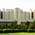 Apollo Hospital - Sarita Vihar Image 1