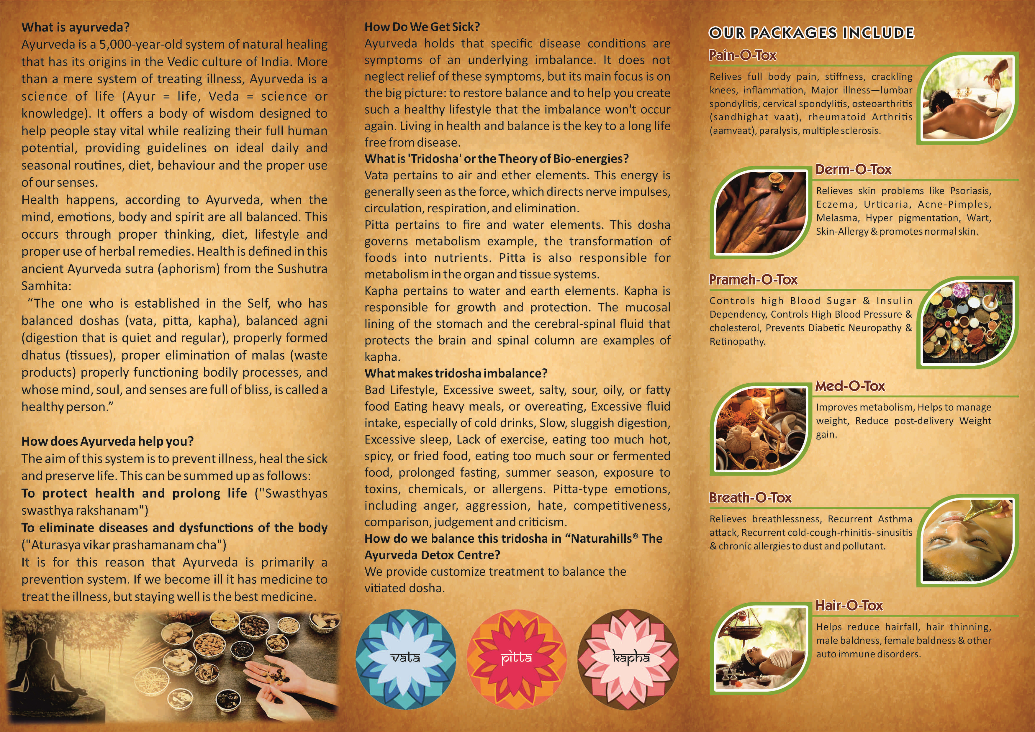 Natura Hills Ayurveda Detox Centre Image 8