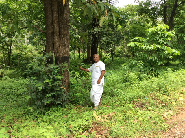 Dathu Ayurvedam Image 4