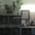 Dr Sumit Mukerji Homeopath Clinic Image 2