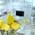 American Dental Practices Image 3