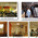 Fortis Hospital & Kidney Institute - Kolkata Image 4
