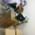 Oyster Dental clinic Image 9