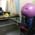 ReLiva Physiotherapy & Rehab Image 3