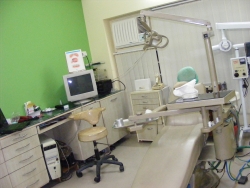 Rohini Dental Care Image 3