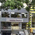 Ayush Neuro Clinic Image 1