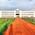 RAJMOHINI DEVI COLLEGE OF AGRICULTURE & RESEARCH STATION Image 1
