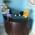 Lal Superspeciality Dental & Implant Clinic Image 3