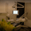 Impressions Dental Clinic Image 2