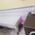Chaudhary Poly Clinic Image 14