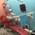 Shree Dental Care Centre Image 1
