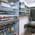 S.D Homoeopathy Multispeciality Clinic Image 6