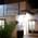 Bharti ENT Care Hospital Image 2