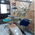 BORADE ENT & DENTAL CLINIC Image 3